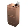 Armário de Ferramentas Armário de Aço Inoxidável Carrinho de Ferramentas para Salão de Beleza Armário de Armazenamento com Gavetas Armário para Cabeleireiro Armário Especial para Salão de Beleza