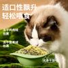 Señor. Comida para Gatos Liofilizada Tom para Gatitos y Gatos Adultos, Alimento Básico para Gatos Nutricional General con Sabor a Pescado, Comida para Gatos de Tres Piezas a Precio Completo