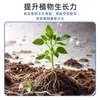 Revitalizador de Plantas Solución Nutritiva Concentrada para Plantas Verdes, Uso General para Flores y Plantas en Maceta, Fertilizante Soluble en Agua para Jardinería Casera, Líquido Revitalizante