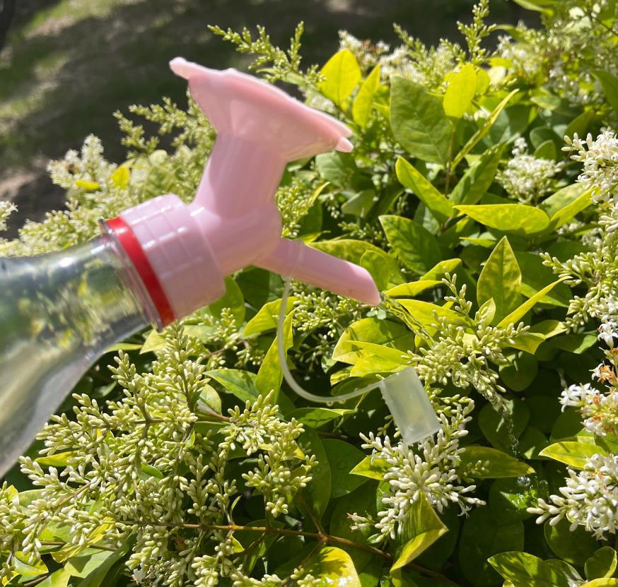 塑料浇水喷头 洒水浇花喷头 喷水器喷壶头 园艺盆栽 种菜工具