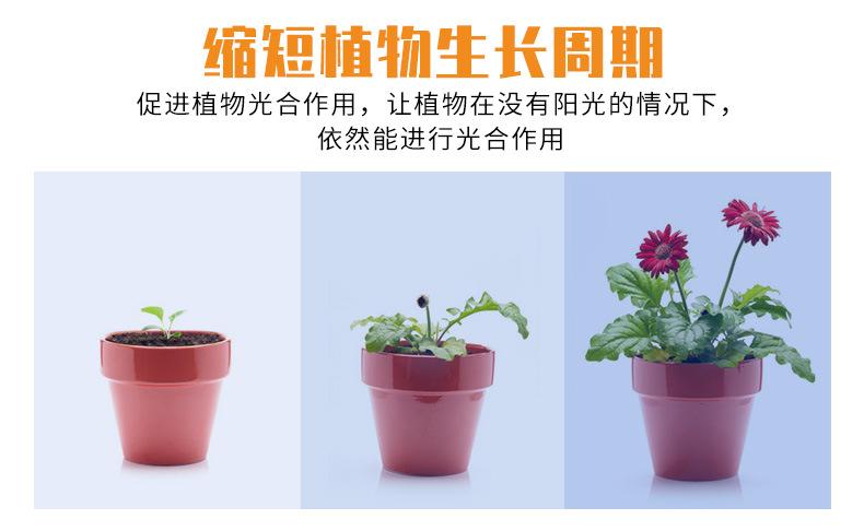 USB-手扫感应冰蓝-植物灯带-_06.jpg
