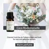 Versión inglesa transfronteriza de humidificador de aceite esencial de aromaterapia soluble en agua para fragancia de interior, ambientador de aire, aceite esencial de aromaterapia