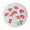 Rosa Lado Prensado Flor de Rosa Flor Prensada Planta de Enseñanza para Niños Pequeños Material de Espécimen Pegamento Flor Seca Funda para Teléfono Móvil DIY