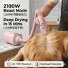 Bestseller internacional: Secador de cabelo doméstico de alta potência de secagem rápida, máquina de secagem de baixo ruído para banho, secador de animais de estimação para gatos e cães