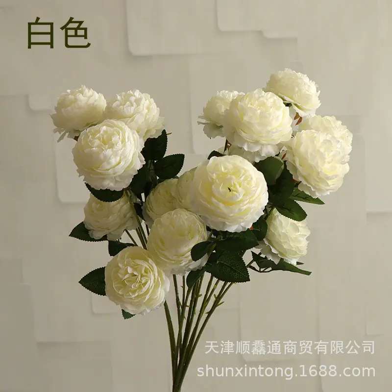 洋牡丹白色1.jpg