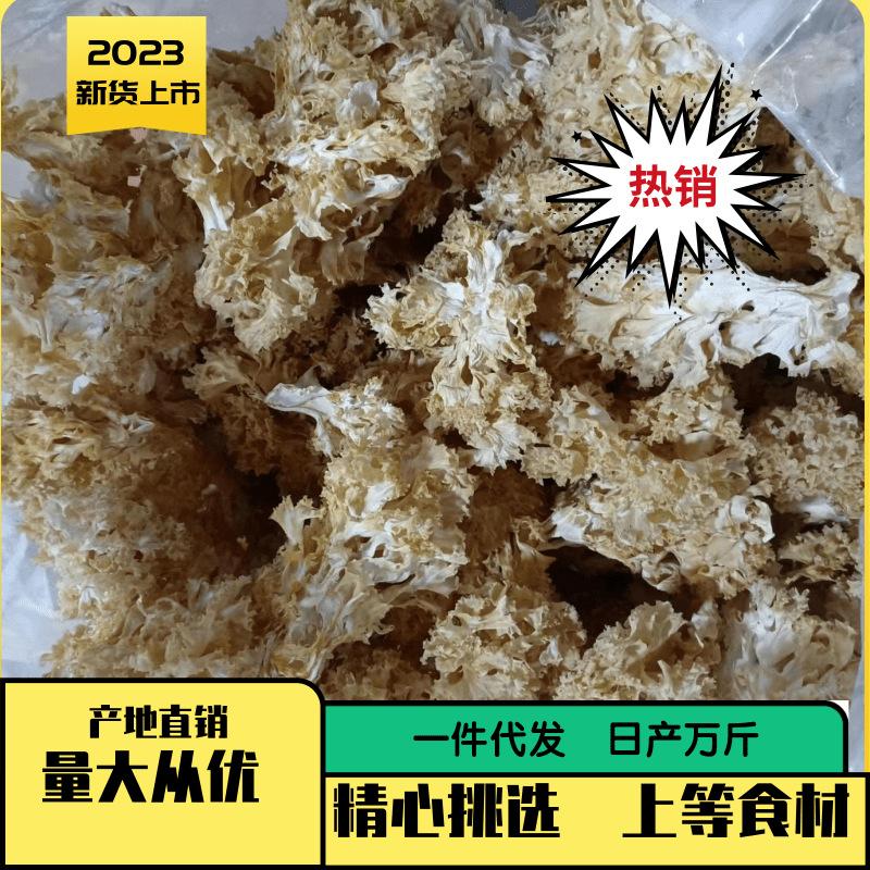 微信图片_20230529151024