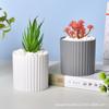 Maceta Imitación Cerámica Plástico Moderno Elegante Simple Maceta para Suculentas de Alto Valor Arreglo Floral de Escritorio Maceta Plantas Verdes para el Hogar