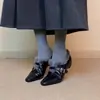 Sapatos Femininos Elegantes Estilo Francês Bico Fino com Tira Única Peludos, Sola Lisa, Forrados com Lã, Sapatos de Algodão Quentes