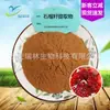 Extracto de Semilla de Granada Polifenoles de Semilla de Granada Polvo Marrón Soluble en Agua Ruilin en Stock con Envío Gratis Bienvenido a Consultar