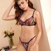 Amazon transfronterizo 2021 ropa interior sexy para mujer sujetador de malla transparente bordado hueco conjunto de sujetador sexy en stock