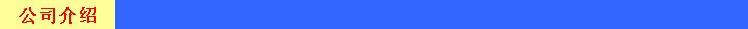 公司介绍