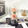 Cúpula de Vidro Pequeno Príncipe Dois Ornamentos de Rosa Simulada Criativo Presente de Dia das Mães Dia dos Namorados Flores Eternas Atacado