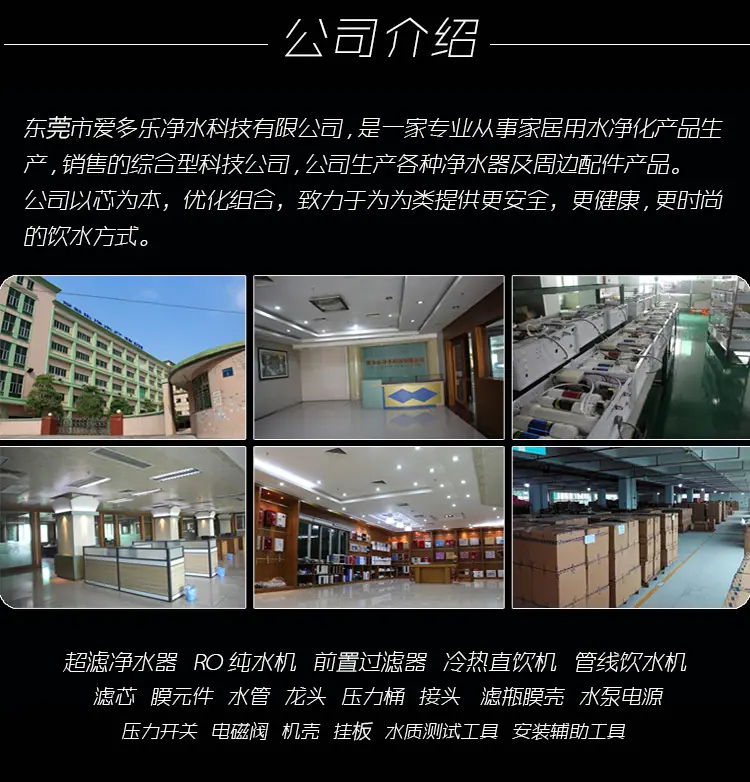 公司介绍