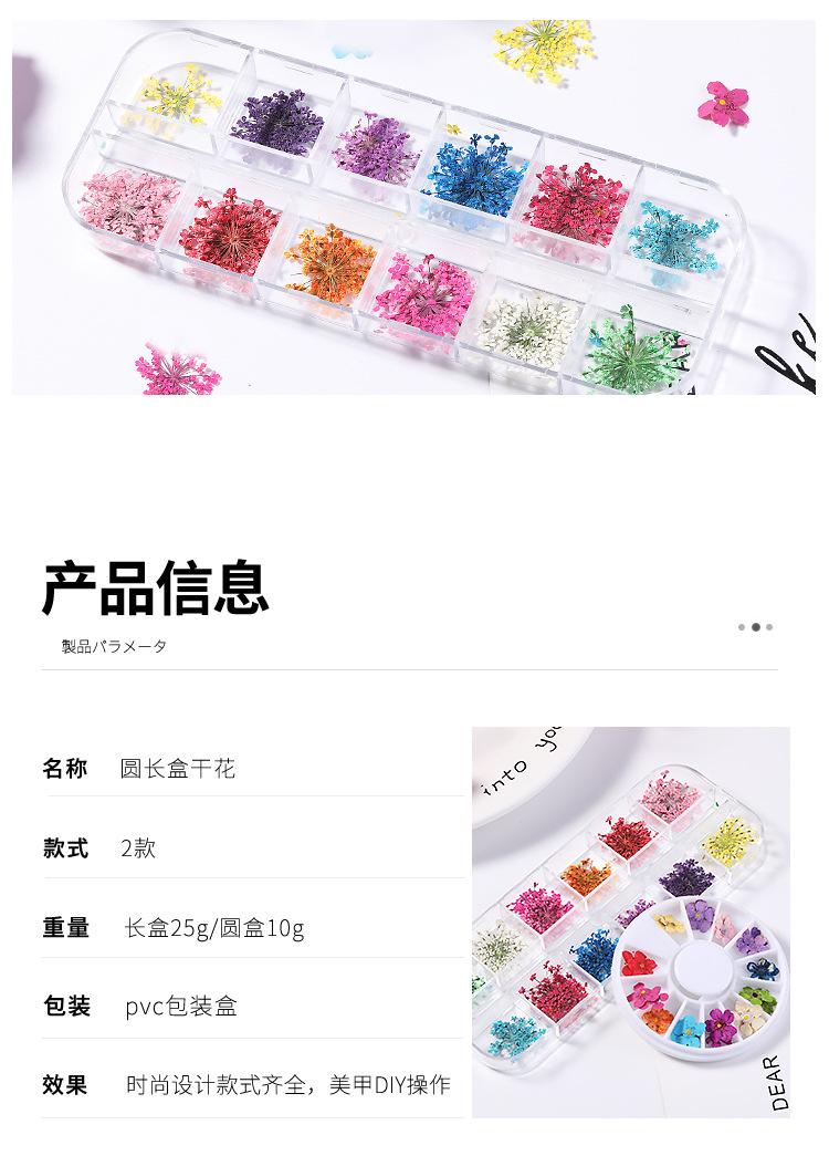 美甲干花 蕾丝干花 水仙花