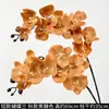 Flores de Orquídea Realistas de 38 pulgadas de Amazon para Fondos de Boda y Decoraciones Florales Orquídeas Artificiales