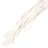 Pantalones casuales de 5 mm en blanco y negro cintura con cordón cuerda de capucha de sudadera nueva correa para ropa cabeza de plástico de moda cuerda redonda