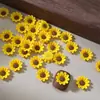 Decorações Populares para Unhas de Girassol Decoração 3D para Unhas com Fundo Plano Acessórios Versáteis de Flores da Primavera para DIY Realistas
