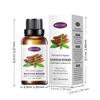 Comercio Exterior Transfronterizo Inglés Aromaterapia Esencial 0iL (Aceite Esencial de Aromaterapia-Cubierta de Cabeza Grande)