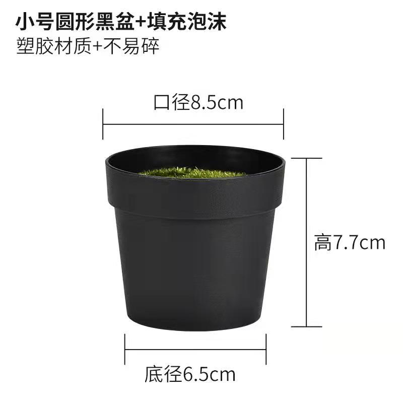 微信图片_20220125195546