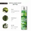 Spray de Fragancia de Venta Caliente Transfronteriza Amazon Comercio Exterior Más Vendido Fragancia de Larga Duración Perfume Personalizado Al Por Mayor 90ml