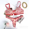 Nuevo Conjunto de Sujetador y Bragas de Encaje Flockado Estilo Francés de Verano Ultra-delgado Sexy para Busto Grande Adelgazante Anti-flacidez para Mujeres