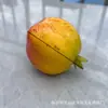 Frutas y Verduras Simuladas para Bocetos de Naturaleza Muerta de Estudiantes de Arte, Materiales Didácticos, Accesorios de Fotografía, Estudio de Arte de Frutas de Cera, Modelos de Frutas Falsas