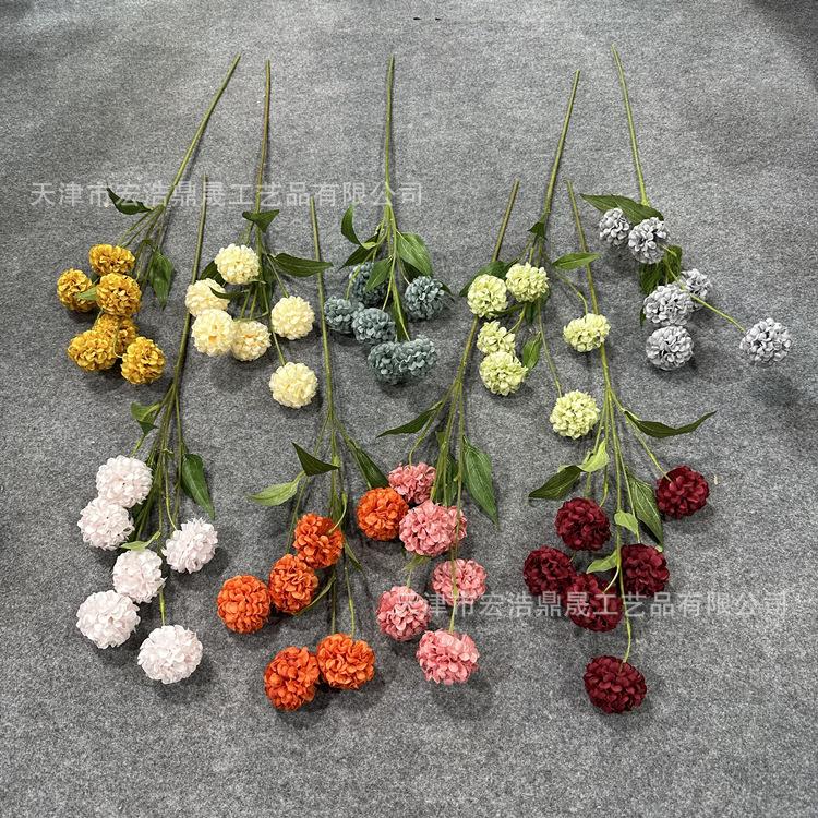 微信图片_20230221153007_副本