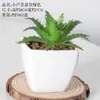 Bonsai Carnudo Artificial Combinação de Flores Artificiais de Plástico Planta Verde para Interior de Escritório Mesa Pequenos Enfeites Plantas Artificiais Atacado