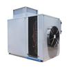 Equipamento para sala de secagem de fungos Morel Sala de secagem de cogumelos ostras Equipamento de secagem de herício Fábrica de atacado