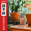Vaso Acrílico Anti-Queda Cultivo em Água Hidropônico Arranjo de Flores Bambu Rico Transparente Reto Flor Decoração Sala de Estar Balde de Flores Despertar