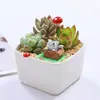 Paquete de Maceta Combinada de Suculentas Set de Cerámica de Suculentas Combinado Incluyendo Maceta y Tierra Material para Maceta DIY Envío Gratis