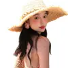 Pendientes Florales de Gasa Hilo de Plata, Simples y de Moda, Estilo Súper Hada, Pendientes para Vacaciones Estilo Infantil para Mujer, Dulces y Versátiles Accesorios para Orejas