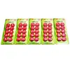 Pizarra Magnética Imán 1-50 Digital Redondo Partícula Magnética Refrigerador Pegatina Magnética Fuerte Colorida Enseñanza Oficina Pizarra Blanca