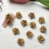 Outono Novo Maillard Nail Acessórios Resina Luminosa Mista Rose Camellia Nail Acessórios Materiais do Prego