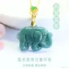 Colgante de Jade Natural Grado A Elefante de Jade Agua Azul Collar Transmisión en Vivo Zona Turística Templo Mayoreo S6031707