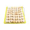 Incubadora Totalmente Automática Bandeja Giratoria para Huevos Bandeja para 56 Huevos Combinación de Motor Bandeja para 156 Huevos de Ave Accesorios para Incubadora