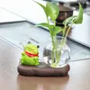 Pesca de rã planta verde vaso hidropônico vidro transparente flores cultivadas em água arranjo de flores vaso de flores decoração de mesa