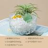 Tigela de cristal para desmagnetização Tigela de vidro purificado com sal imperial Shou Cascalho de desmagnetização de cristal branco Recipiente de pedra de fragrância expansível Caixa de armazenamento de joias