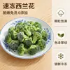 Directamente del fabricante: Brócoli Congelado Rápido, Sin Lavar, 0 Aditivos, Coliflor Verde, Verduras Limpias Semiacabadas, Brócoli Congelado al Por Mayor