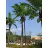 Coqueiro Falso Coqueiro Grande Tropical Outdoor Árvore Artificial para Paisagismo Planta Verde Arranjo de Paisagismo Palmeira Falsa Interna