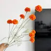 Flores Artificiales Flor de Diente de León de 9 Cabezas Bola de Crisantemo Pequeña Crisantemo Arreglo Floral de Boda Adornos para Decoración del Hogar Flores Falsas Comercio Exterior Transfronterizo