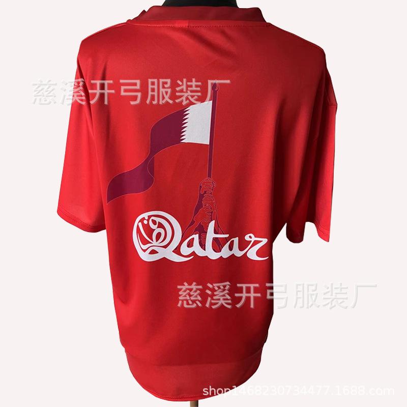 卡塔尔 (4)