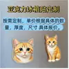 Imán de Refrigerador de Acrílico Foto Mascota Gatito Perro Estrella Corporativa Cultural Creativo Sanación Imán de Refrigerador Magnético Suave