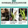 Solución nutritiva para tulipanes abono especial universal para flores planta verde planta hidropónica fertilizante líquido para hojas amarillas
