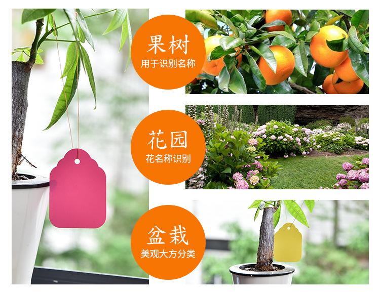 详情切片_04