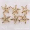 Botón Metálico Spot Botón de Estrella Botón de Estrella de Mar Botón Creativo Estrella de Cinco Puntas Hebilla Decorativa Infantil 21mm Diferente