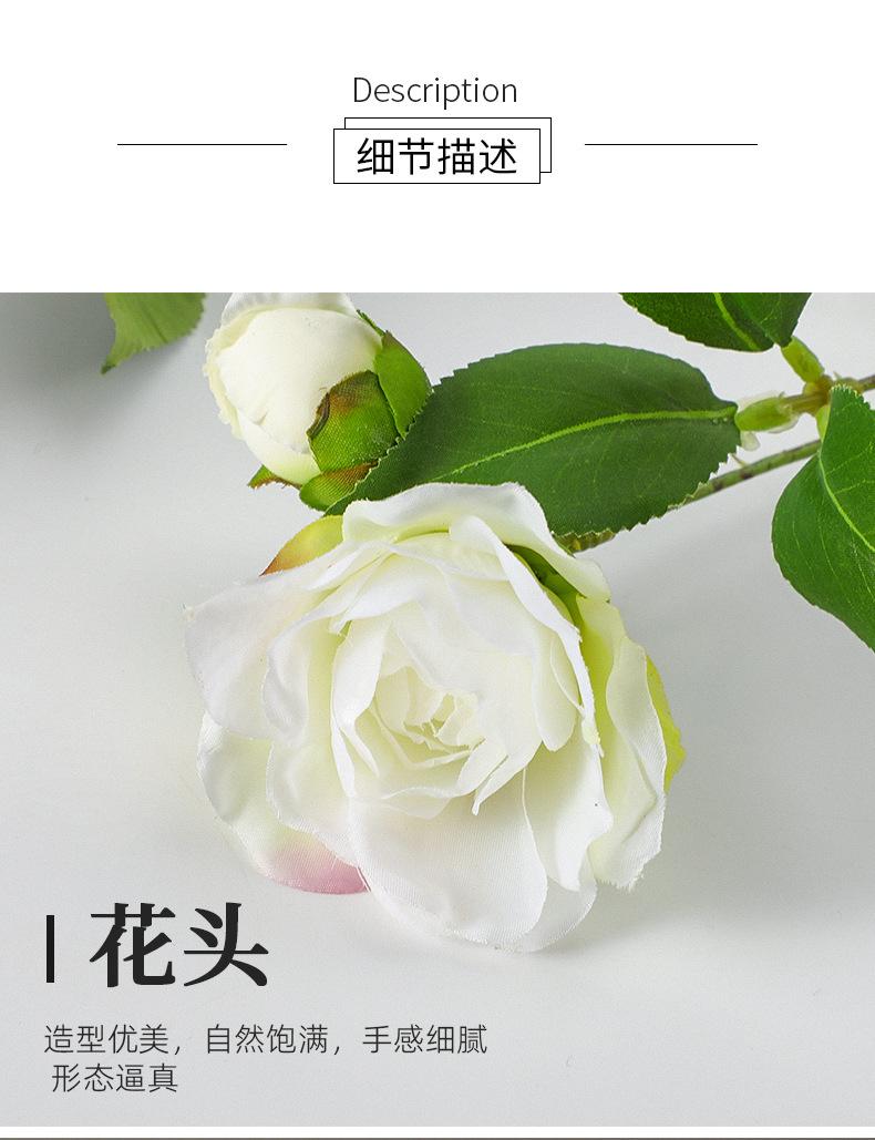 大枝茶花详情图