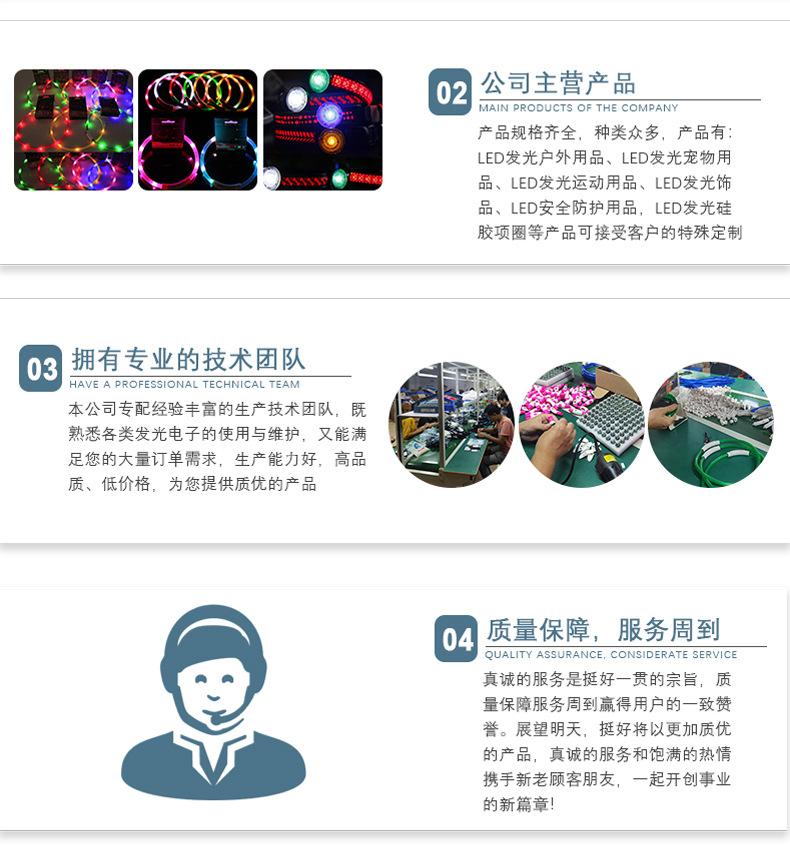 宠物发光吊坠-98918498_11.jpg