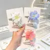 Presilhas Coloridas Oceano para Crianças Estrela do Mar Concha Acessórios de Cabelo para Meninas Franja Testa Lado Presilhas para Fios Soltos Grampos de Cabelo