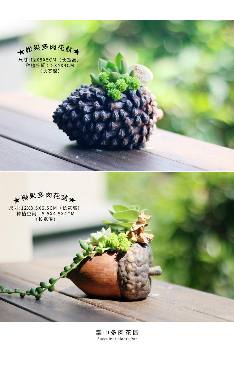 多肉花盆小号2_06